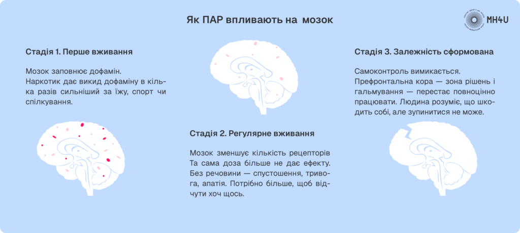  Що ПАР роблять з мозком